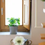 Le Vie Del Borgo | 3 Dimore Indipendenti A *