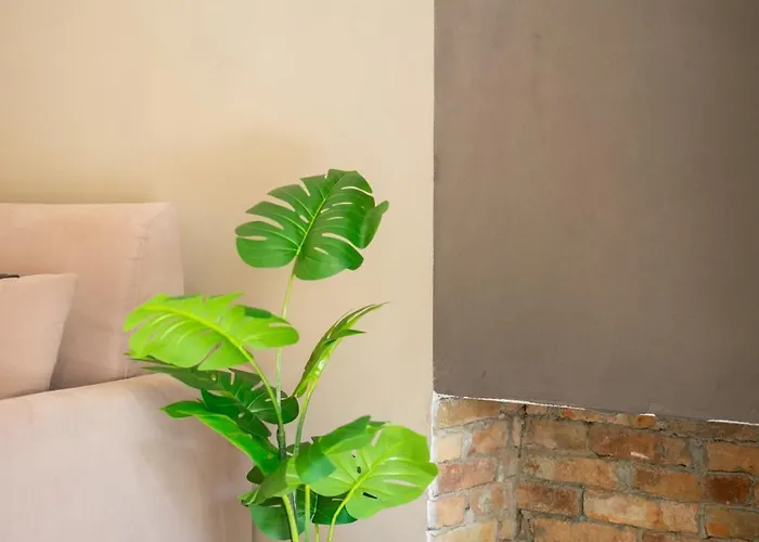 Le Vie Del Borgo | 3 Dimore Indipendenti A شيفيتا